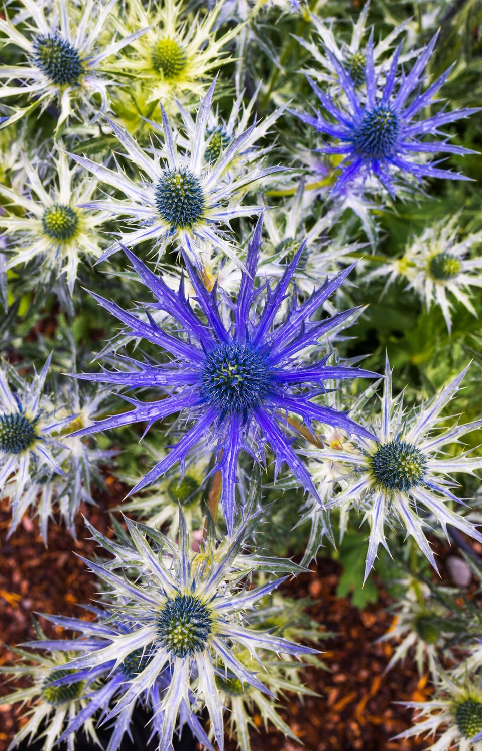 Alaska photo: alaska homer mg 3338