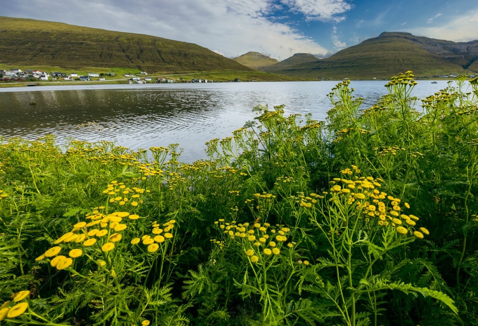 Faroe Islands photo: hvalvik large
