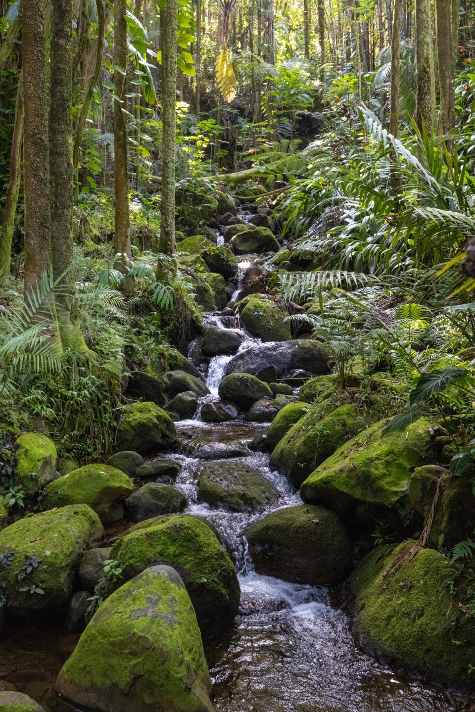 Hawaii photo: mg 5190