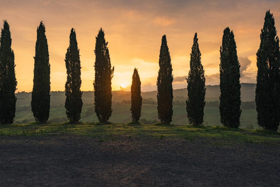 Italy photo: mg 1169 hdr
