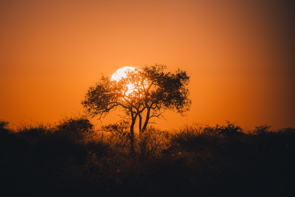 Namibia photo: IMG 8554