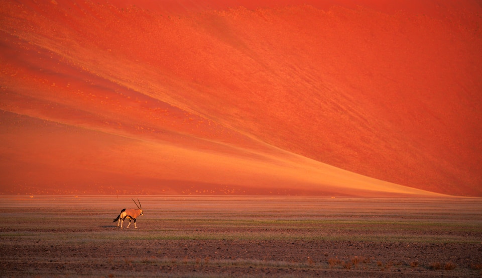 Namibia photo: MG 5540