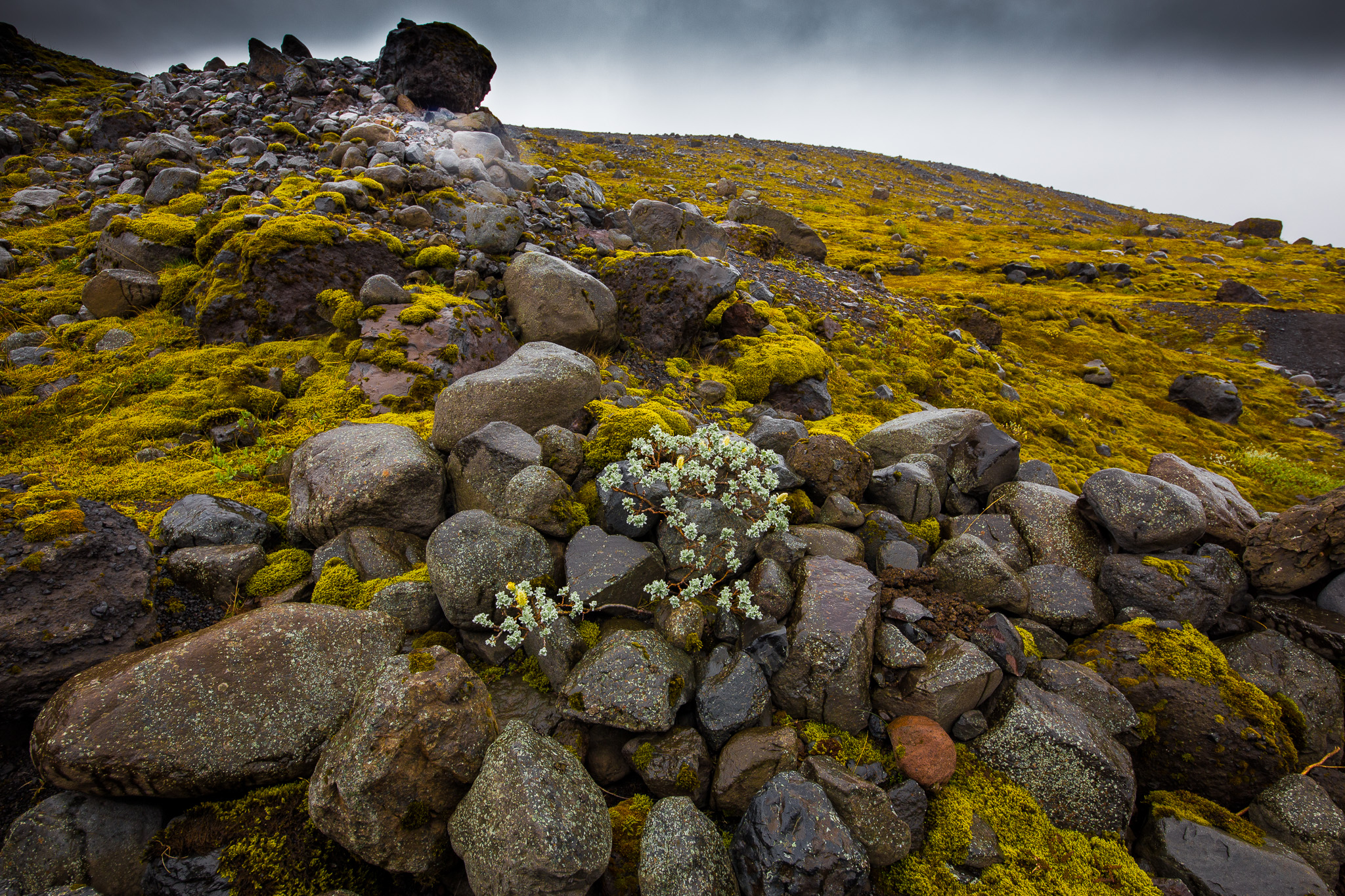 Skatafell National Park